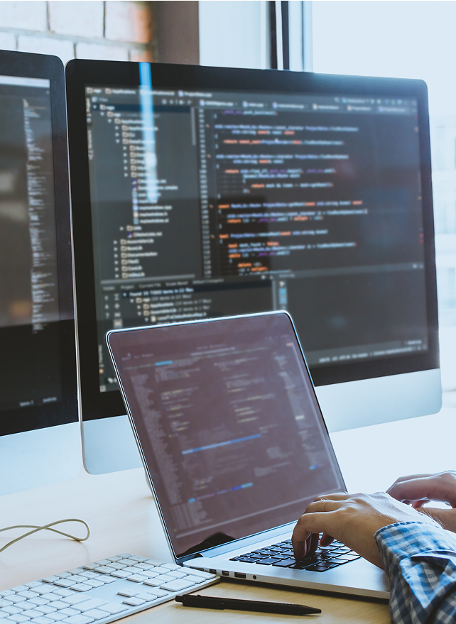 Custom Software Development
